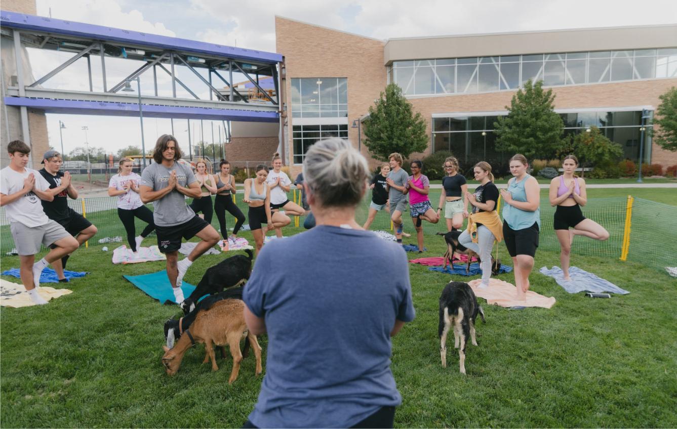 Join colleagues for wellness events, such as goat yoga, hosted by the Hamilton Recreation Center.